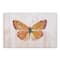 Painted Butterfly Floor Mat